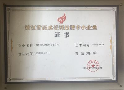浙江省高成長(zhǎng)科技型中小企業(yè)證書
